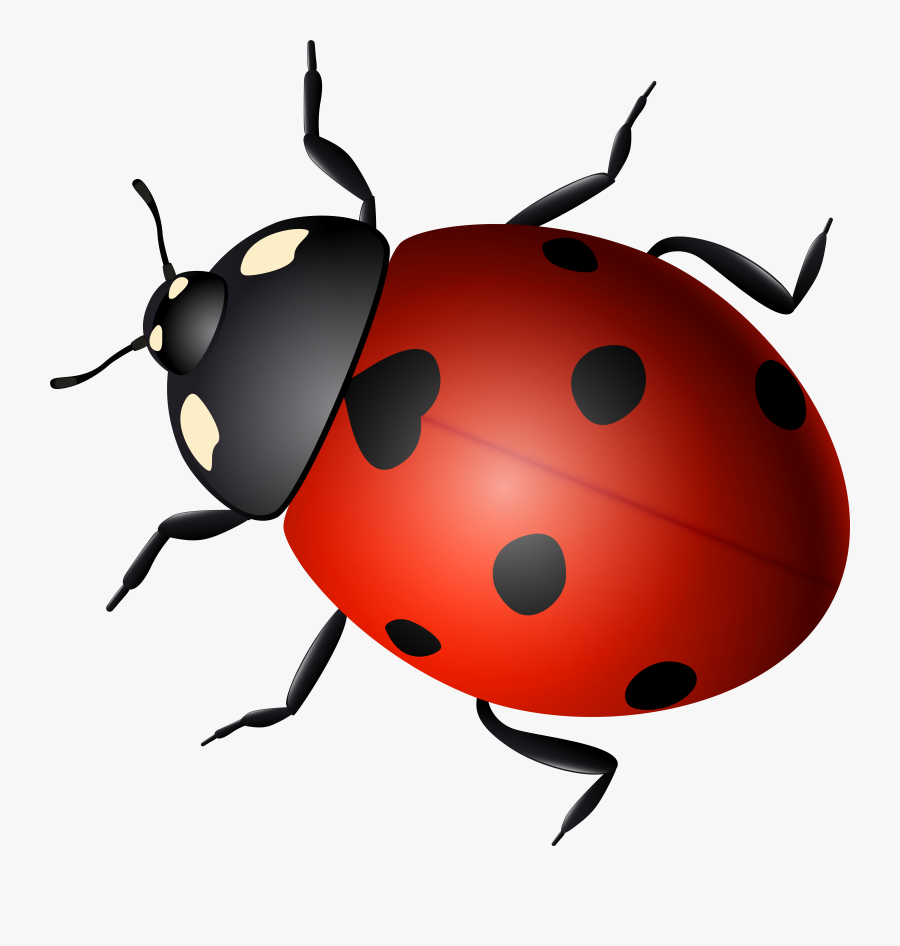 Spring Clipart Lady Bug, Transparent Clipart