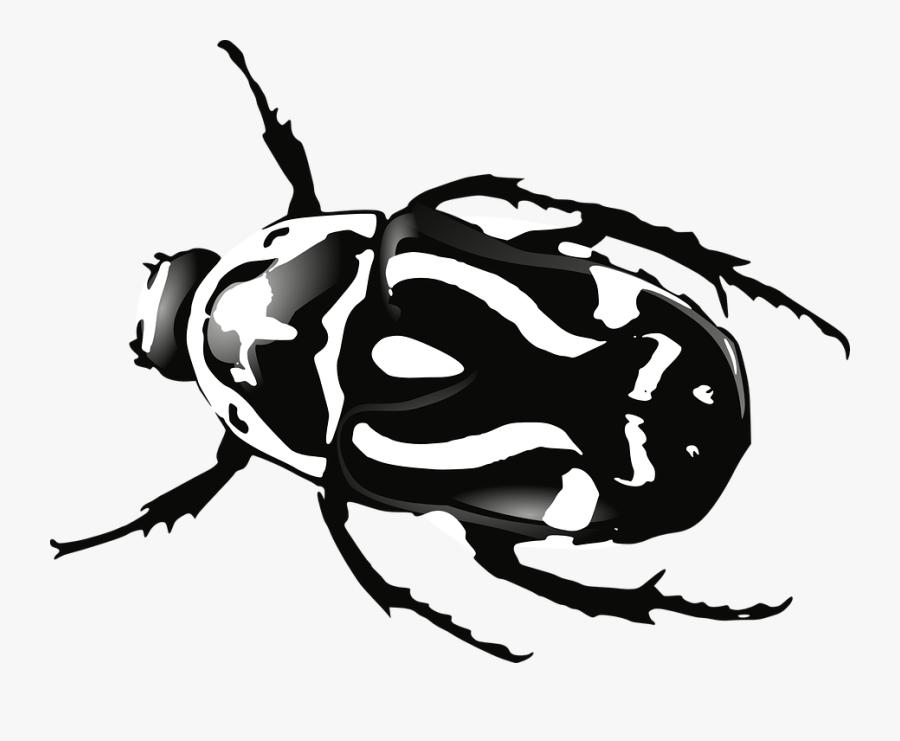 Transparent Nature Clipart Black And White - Beetle Clip Art, Transparent Clipart