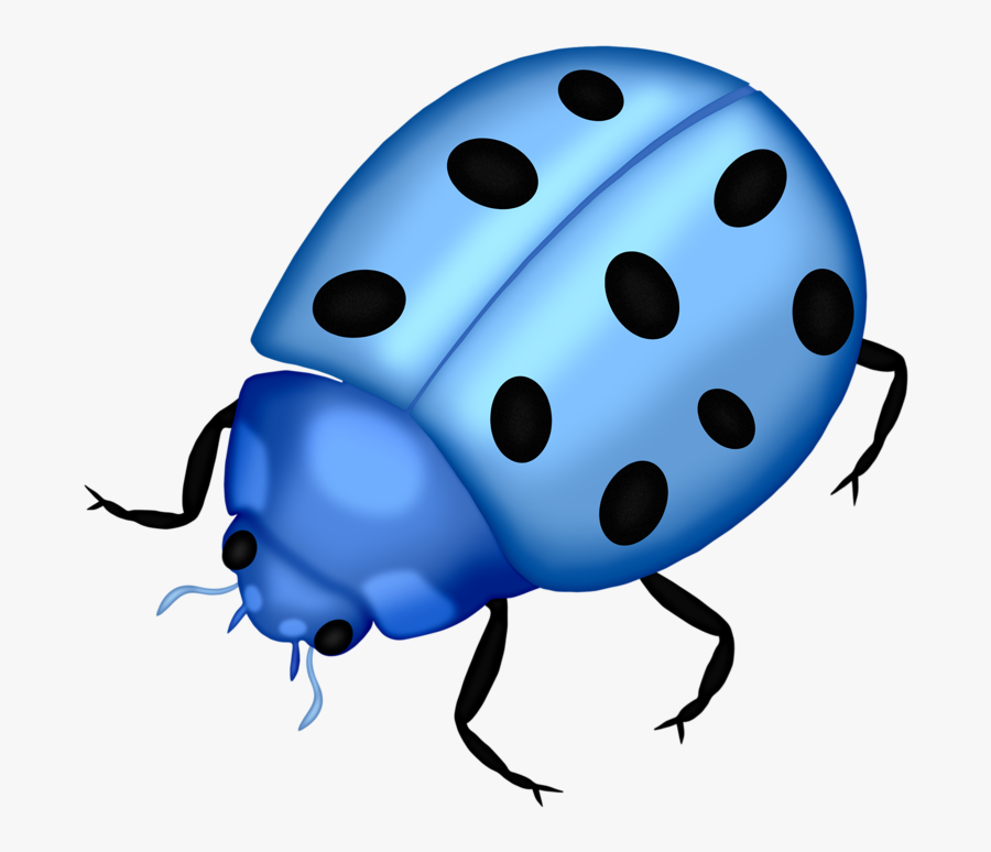 Bug Png Clip Art Lady Bugs And - Blue Bugs Clipart, Transparent Clipart
