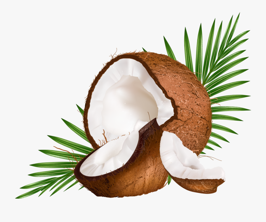 Water Euclidean Coconut Vector Milk Png Free Photo - Coconut Vector Png, Transparent Clipart