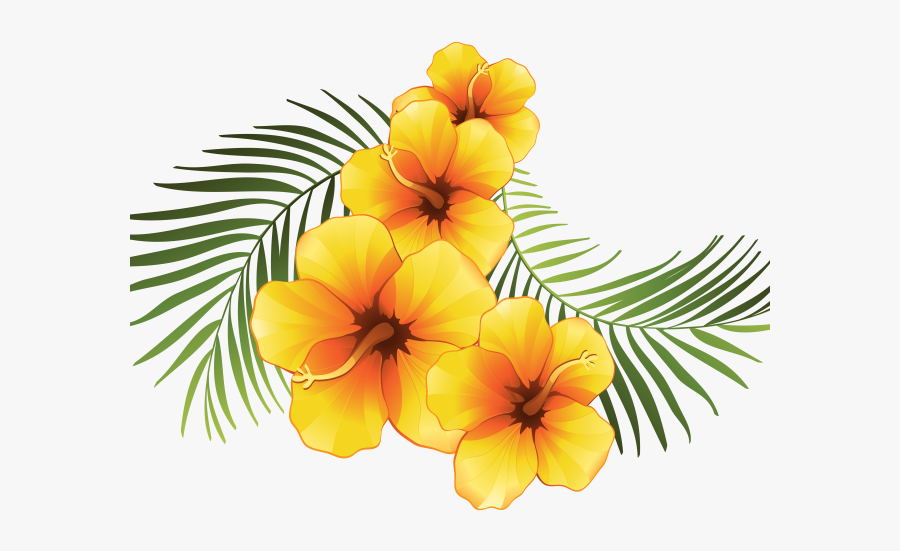 Exotic Clipart Moana - Tropical Flower Vector Png, Transparent Clipart