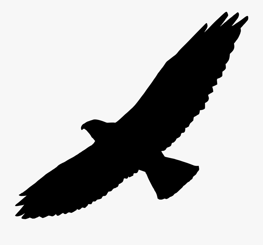 Bird,beak,kite,wing,bird Of Falcon,vulture - Hawk Silhouette, Transparent Clipart