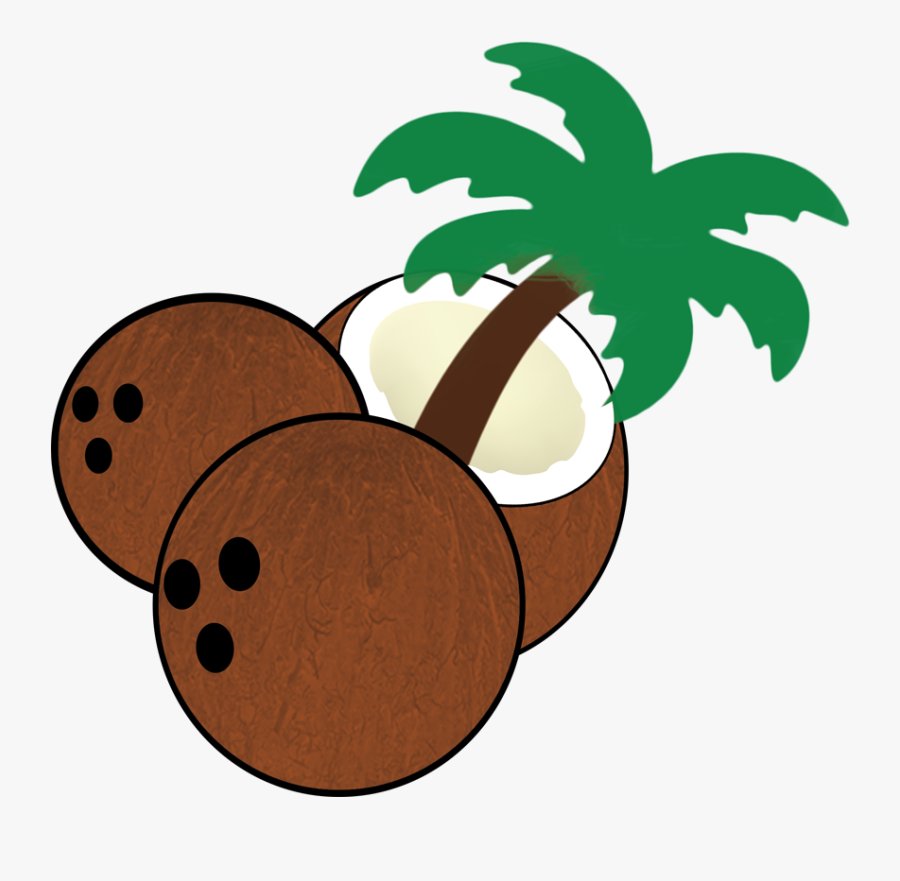 South Florida Coconuts - Coconuts Cartoon, Transparent Clipart