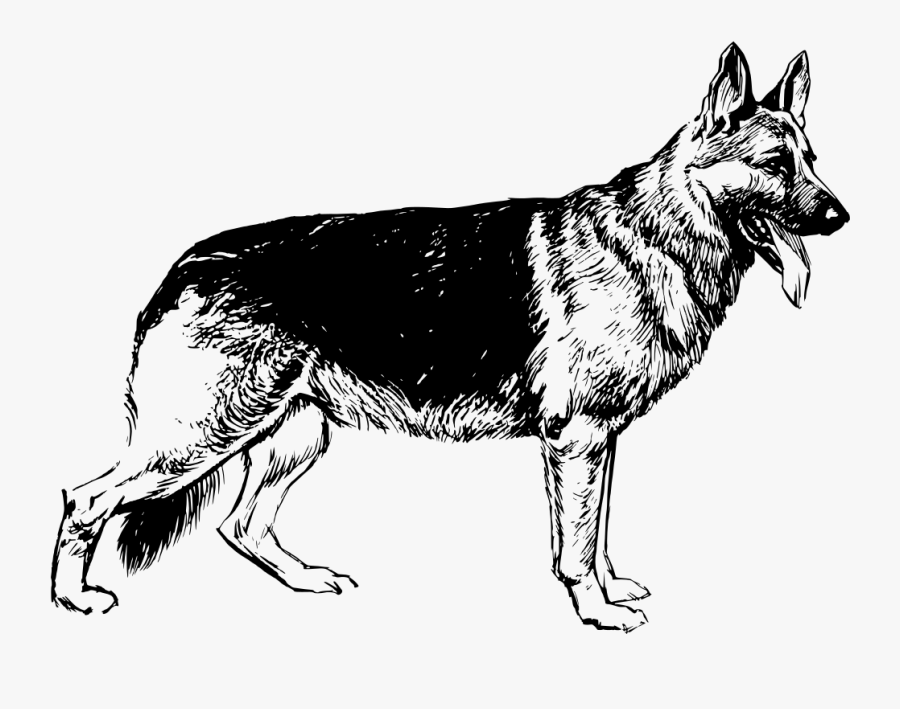 Clipart - German Shepherd Black And White, Transparent Clipart