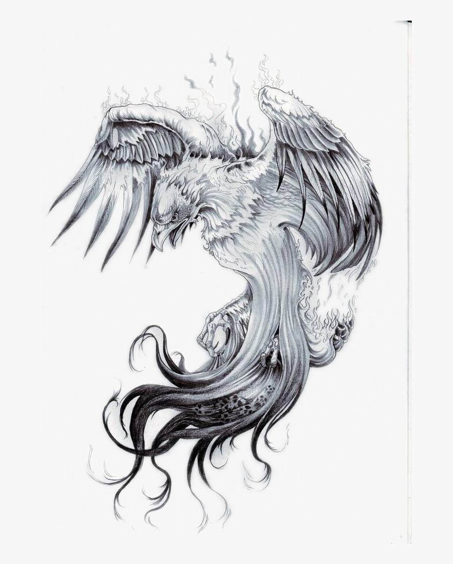 Clip Art Library Phoenix Sleeve Nautical Star Transprent, Transparent Clipart