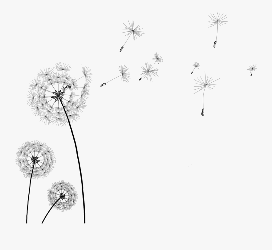 Information Clip Art Transprent - Transparent Background Dandelion Clipart, Transparent Clipart