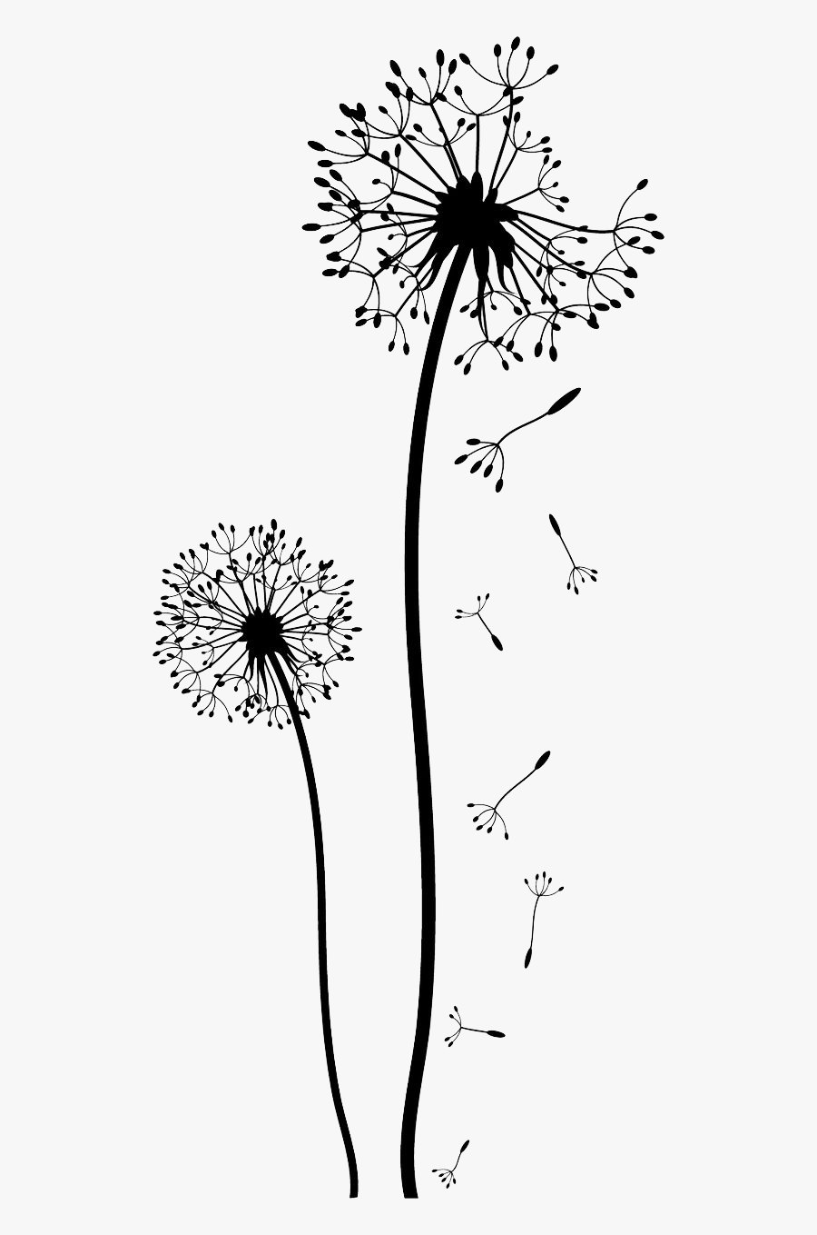 Transparent Png Dandelion - Transparent Background Dandelion Clipart Png, Transparent Clipart