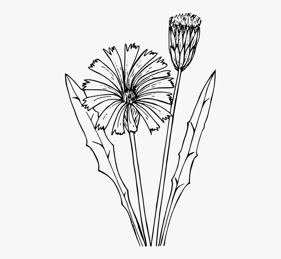 Dandelion Clipart Abstract - Dandelion Svg, Transparent Clipart