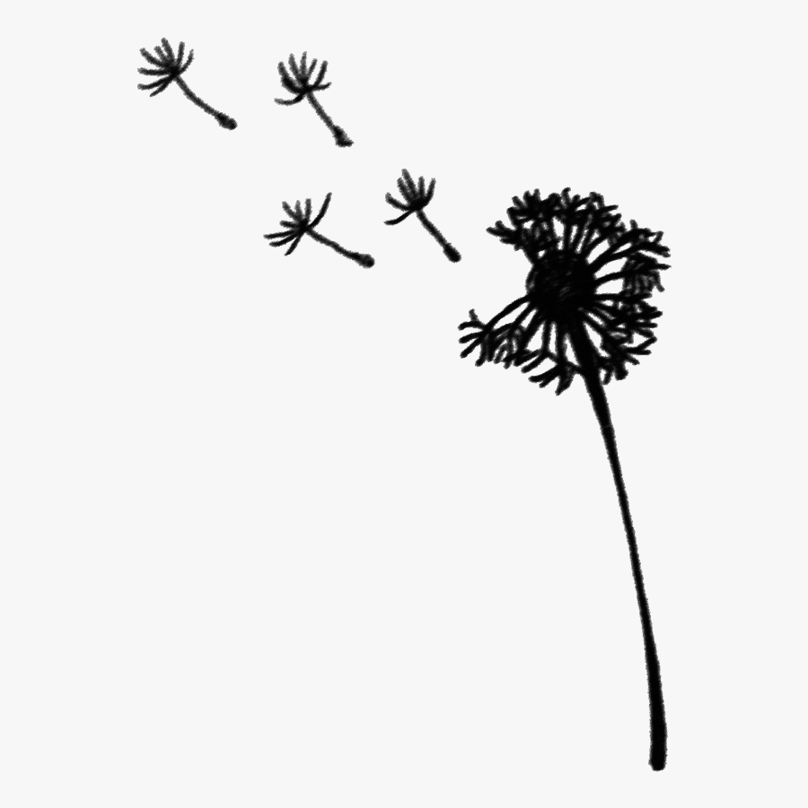 Transparent Blowing Dandelion Png - Transparent Background Dandelion Blowing Png, Transparent Clipart