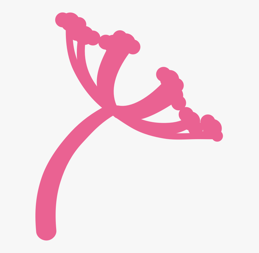 A Dandelion As A Symbol Of Progress And Continuation, Transparent Clipart