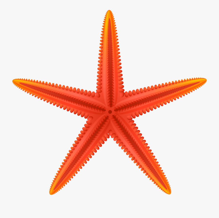 Red Starfish Png Clip Art, Transparent Clipart