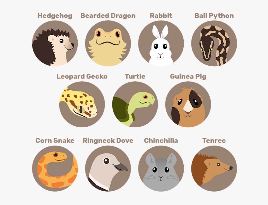 Clip Art, Transparent Clipart