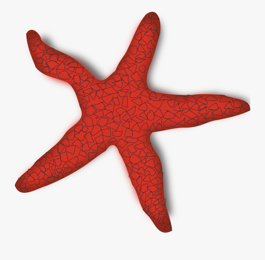 Clipart Starfish - Starfish Clip Art, Transparent Clipart