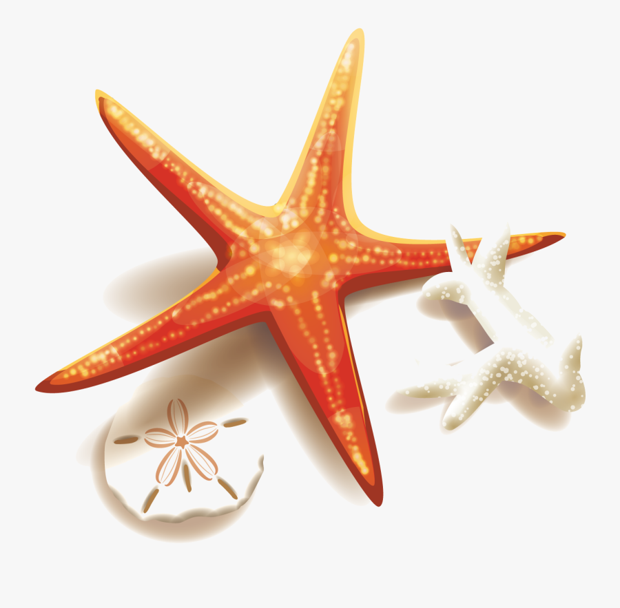 Starfish Beautiful Cliparts For Free Clipart Illustration - Starfish Png, Transparent Clipart
