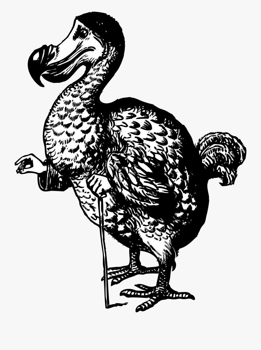 The Dodo From Alice In Wonderland - Alice's Adventures In Wonderland Dodo, Transparent Clipart