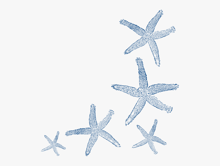 Coral Starfish Clipart, Transparent Clipart