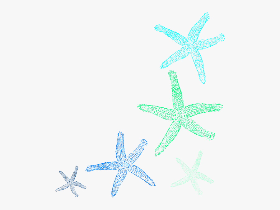 Blue Free On Dumielauxepices - Transparent Background Seashells Sand Dollar Clipart, Transparent Clipart