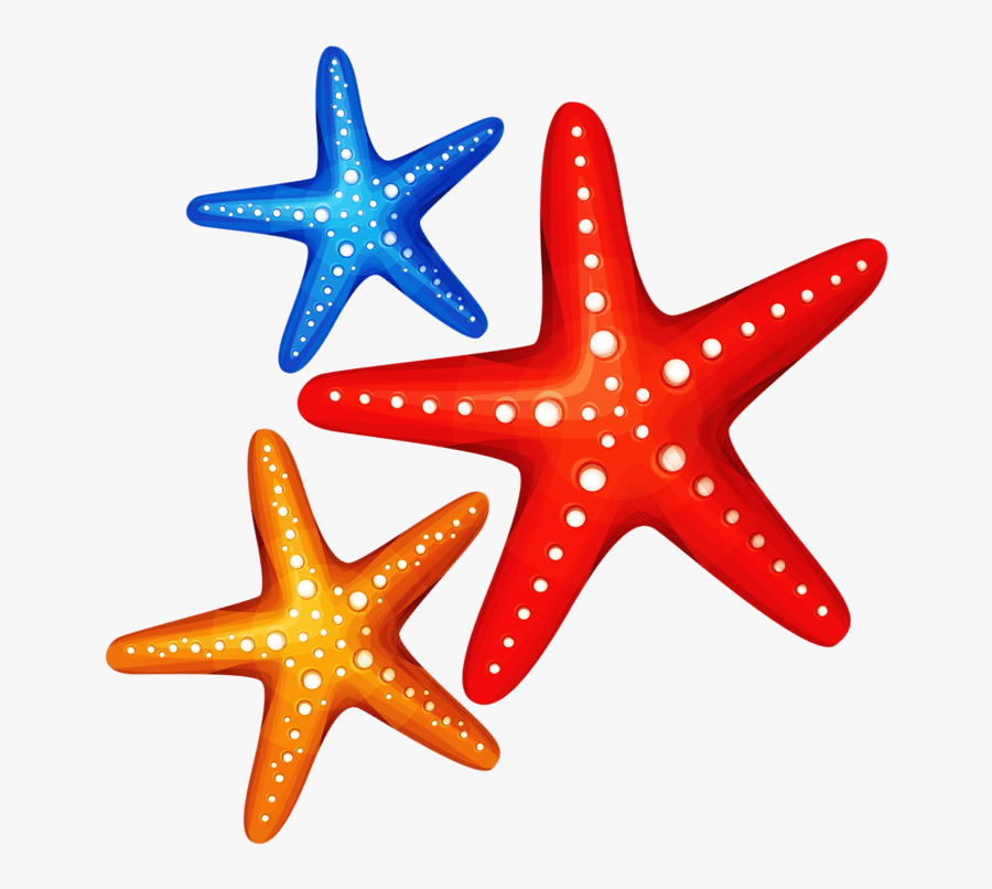 Colorful Starfish Transparent Background Clipart , - Starfish Clipart Png, Transparent Clipart