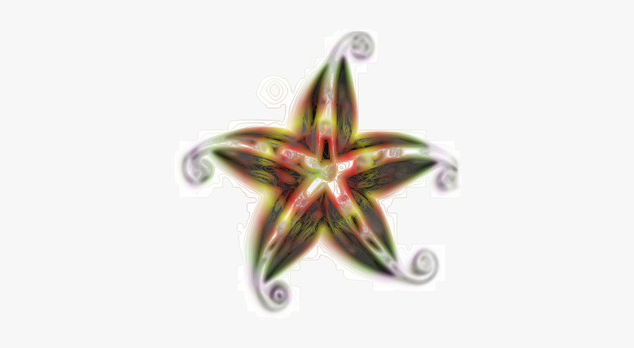 Body - Marine Invertebrates, Transparent Clipart