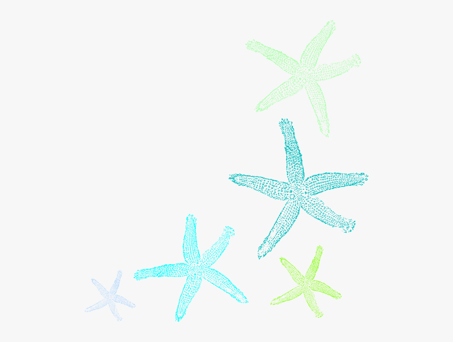 Starfish Prints Clip Art At Clker - Star Fish Art Transparent, Transparent Clipart