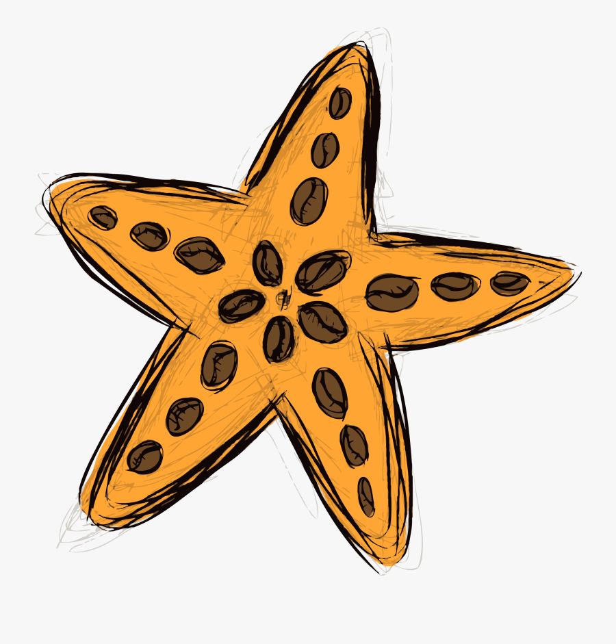 Starfish, Transparent Clipart
