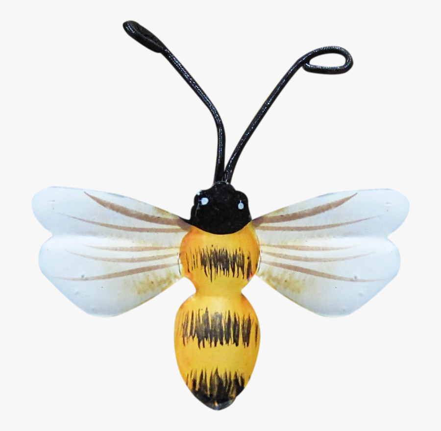 Bumble Bees, Honey Bees, Clip Art, Bees, Bee, Pictures - Honeybee, Transparent Clipart