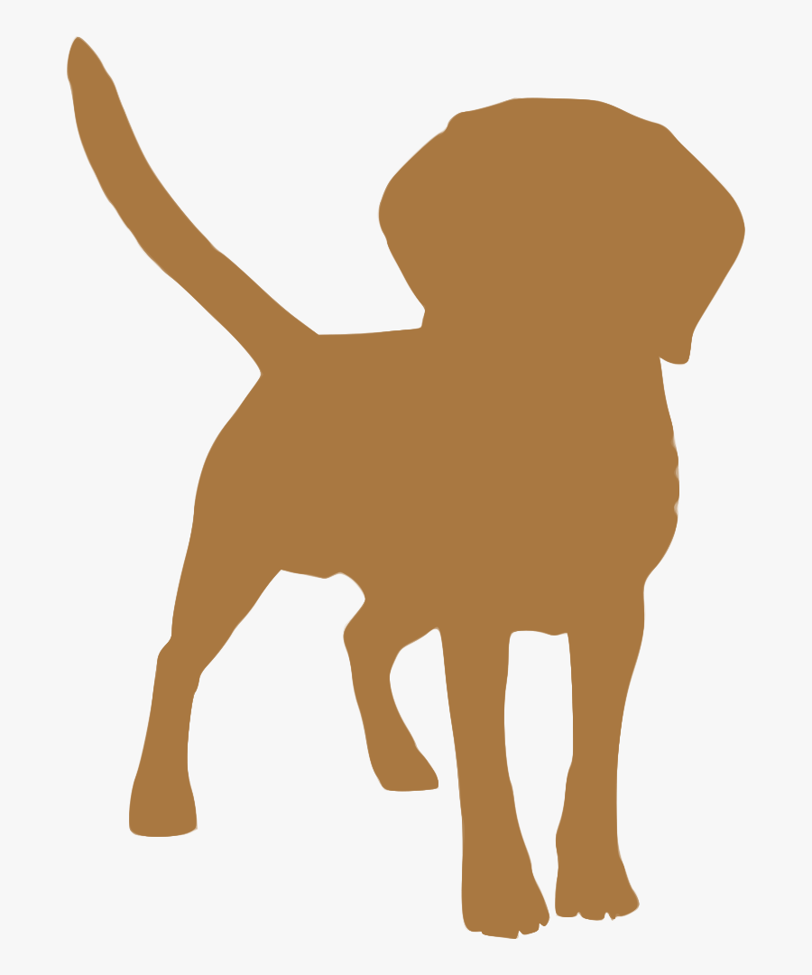 Dog Breed Puppy Tibetan Spaniel Tibetan Mastiff English - Dog Shakes Water Off, Transparent Clipart