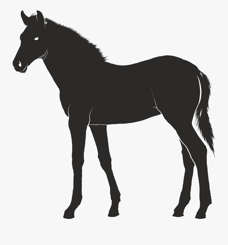 Free Clipart Of A Horse - Mastiff Clipart, Transparent Clipart