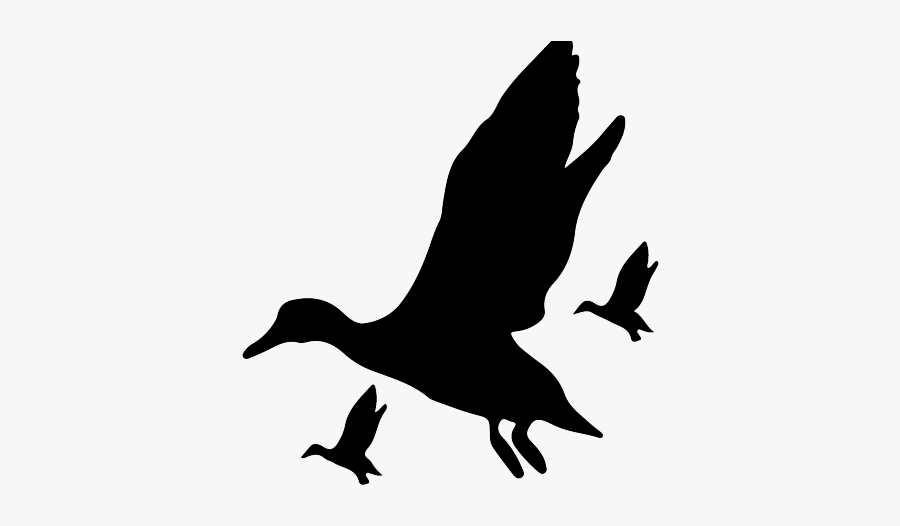 Hunting Clipart Labrador Silhouette - Duck Flying Silhouette Vector, Transparent Clipart