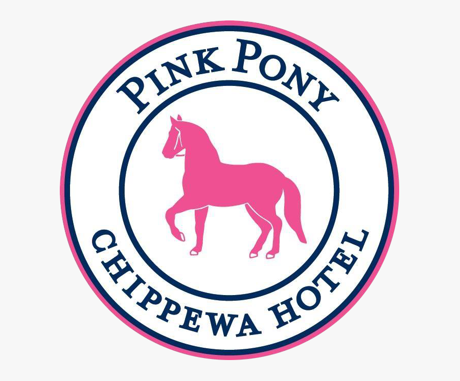 20596956 1557787644243057 7083246961627604905 N - 5sos Lyrics Png Transparent, Transparent Clipart