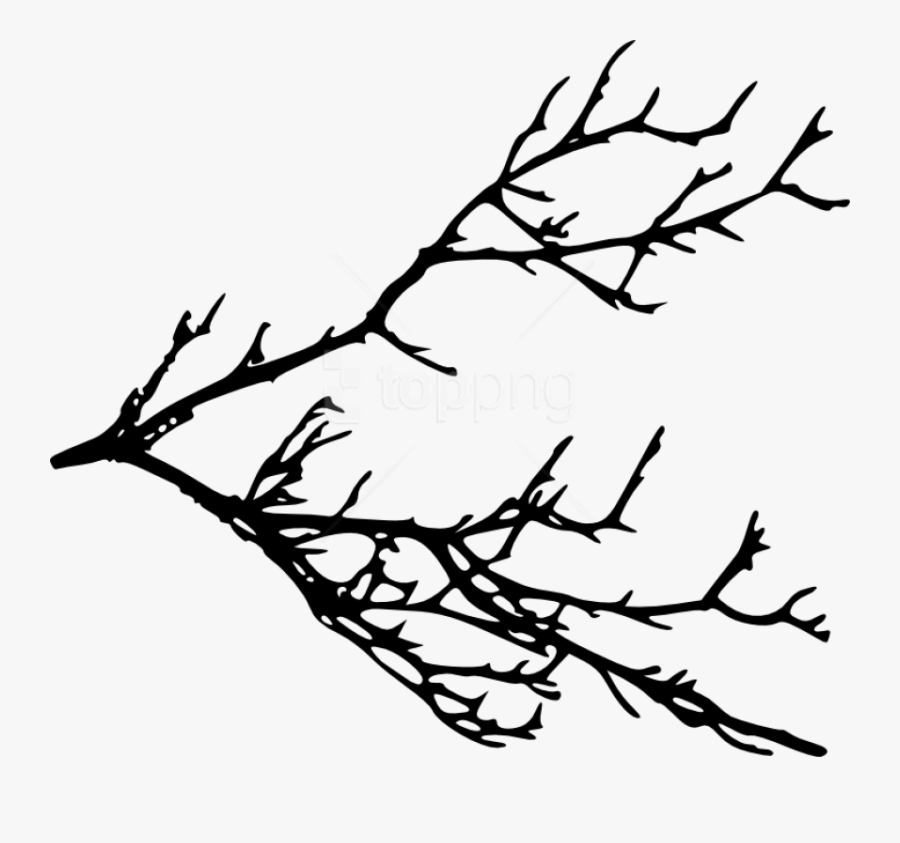 Tree Branch Silhouette Png - Tree Branch Clipart Black And White, Transparent Clipart