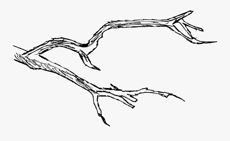 Tree Branch Transparent Tree Branch Drawing Free Transparent Clipart Clipartkey Tree Branch Transparent Tree Branch Drawing Free Transparent Clipart Clipartkey
