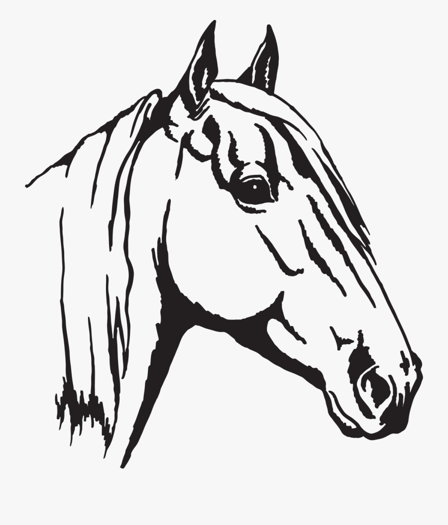 Arabian Horse Appaloosa Horse Head Mask Clip Art - Horse Head, Transparent Clipart
