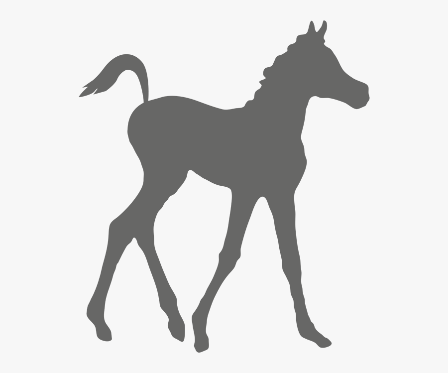 Silhouette, Transparent Clipart