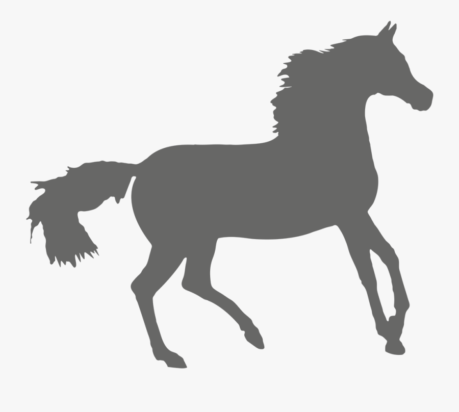 Stallion, Transparent Clipart