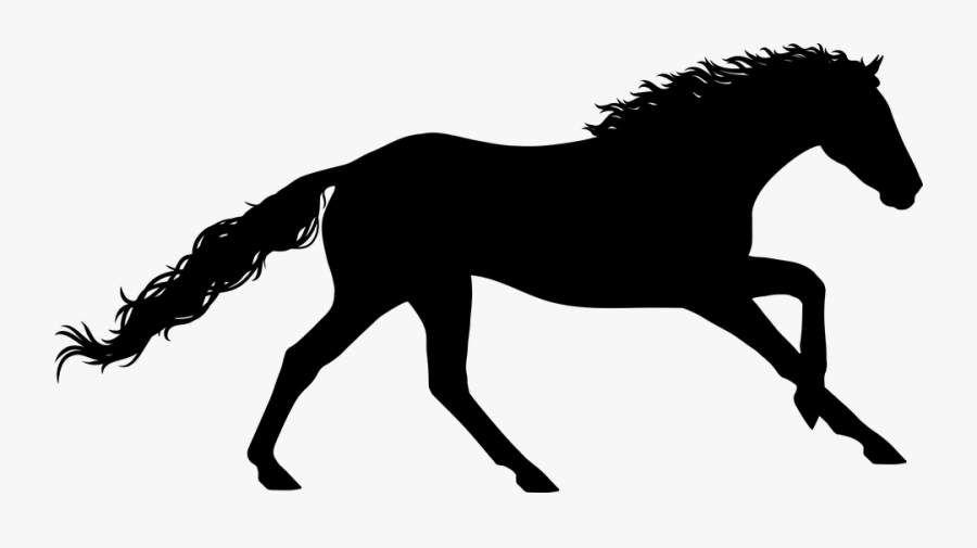 Horse, Gallop, Stallion, Equestrian, Sport, Animal - Galloping Horse Png, Transparent Clipart