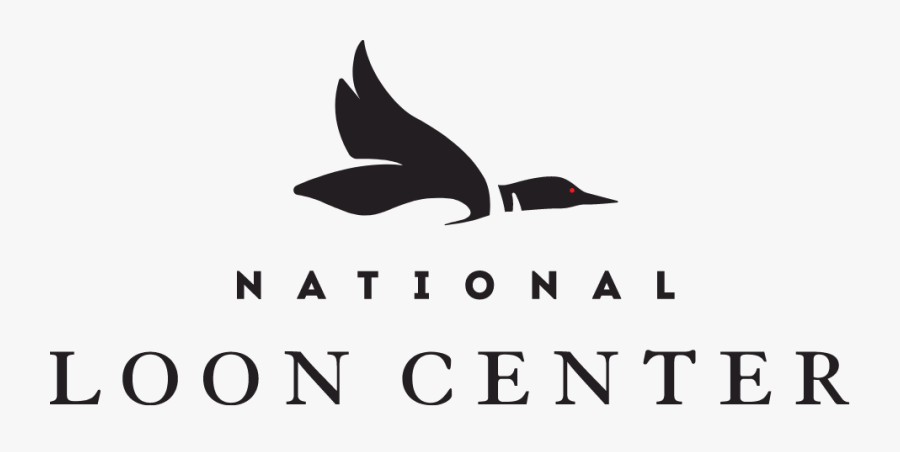 National Loon Center Logo - Vaux S Swift, Transparent Clipart