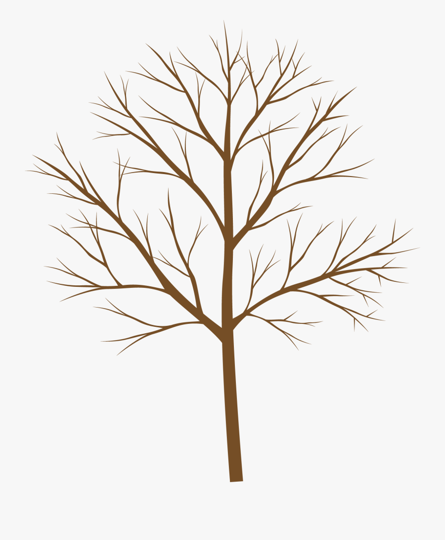 Vector, Transparent Clipart