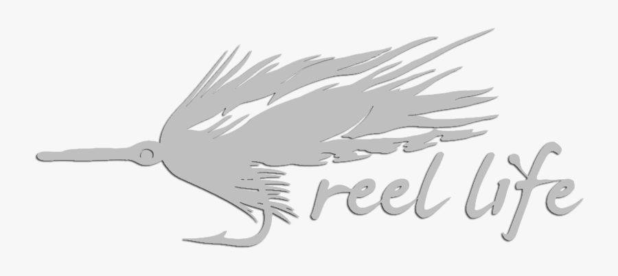 Tarpon Fly Decal - Woodpecker, Transparent Clipart