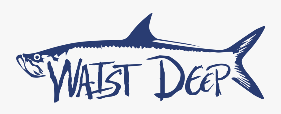 Shark, Transparent Clipart