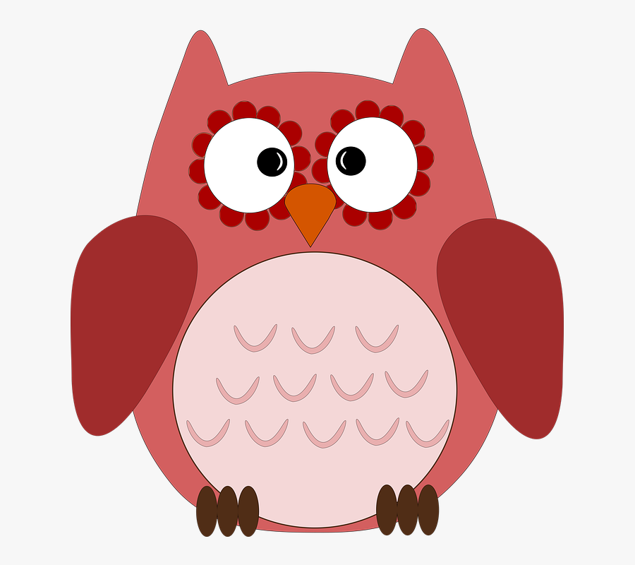 Owl, Cute Owl, Bird, Cute, Cartoon, Animals - Cartoon, Transparent Clipart