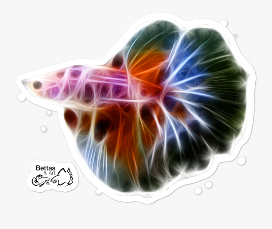 Marine Invertebrates, Transparent Clipart