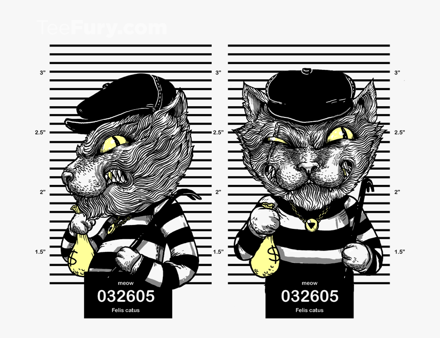 Cat Burglar Art, Transparent Clipart