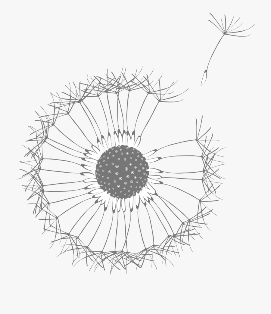 Dandelion - Розовый Велосипед, Transparent Clipart