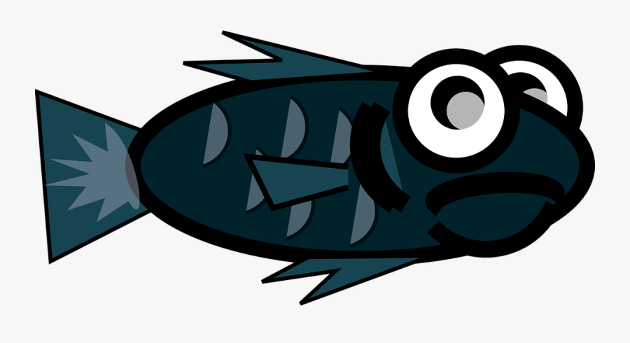 Fish, Scales, Swim, Fins, Green, Black, Teal, Eyes - Graphic Design, Transparent Clipart