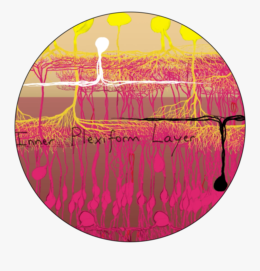 Microscope Clipart Inventor - Circle, Transparent Clipart