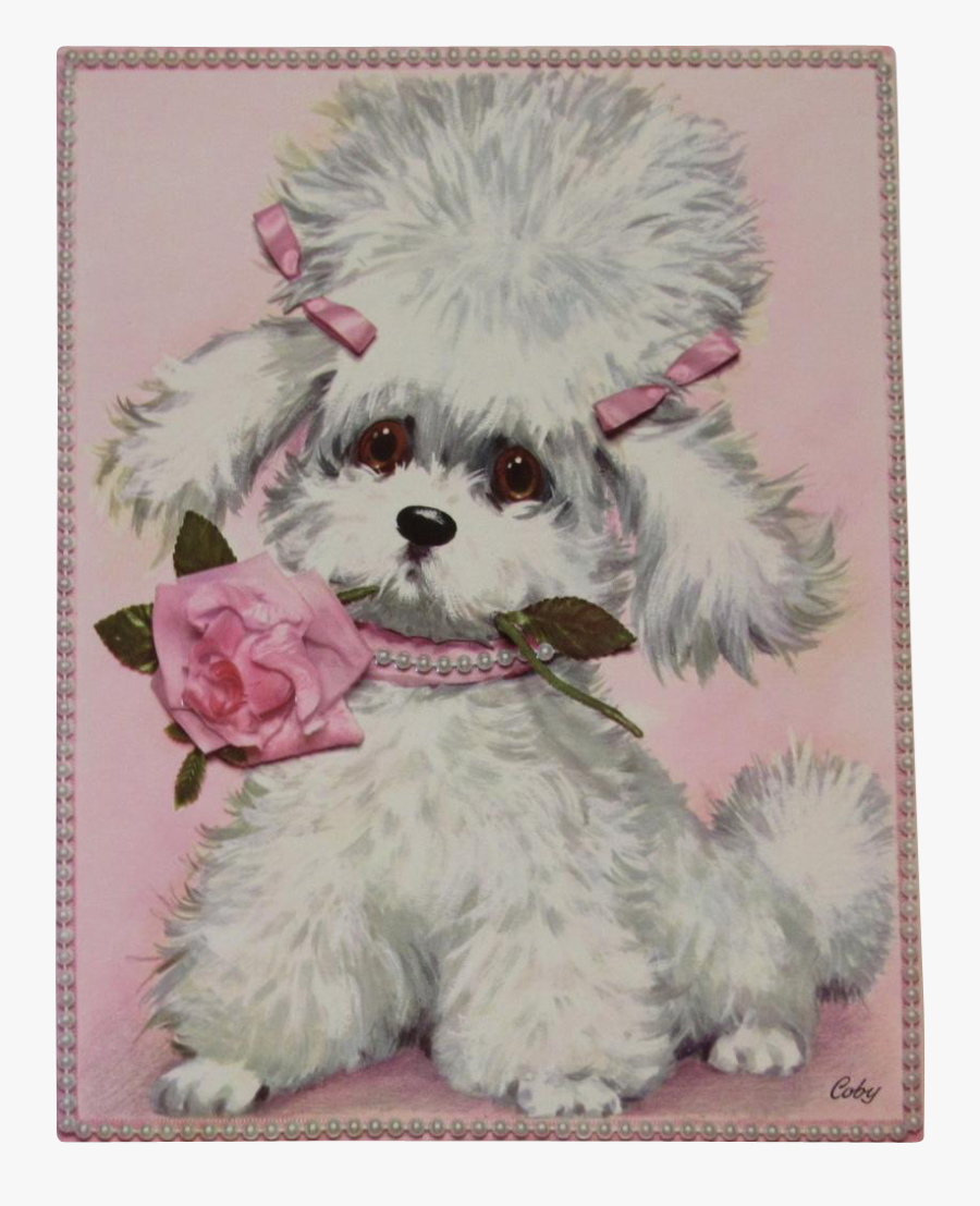 Poodle Clip Maltese - Vintage Puppy Illustration, Transparent Clipart