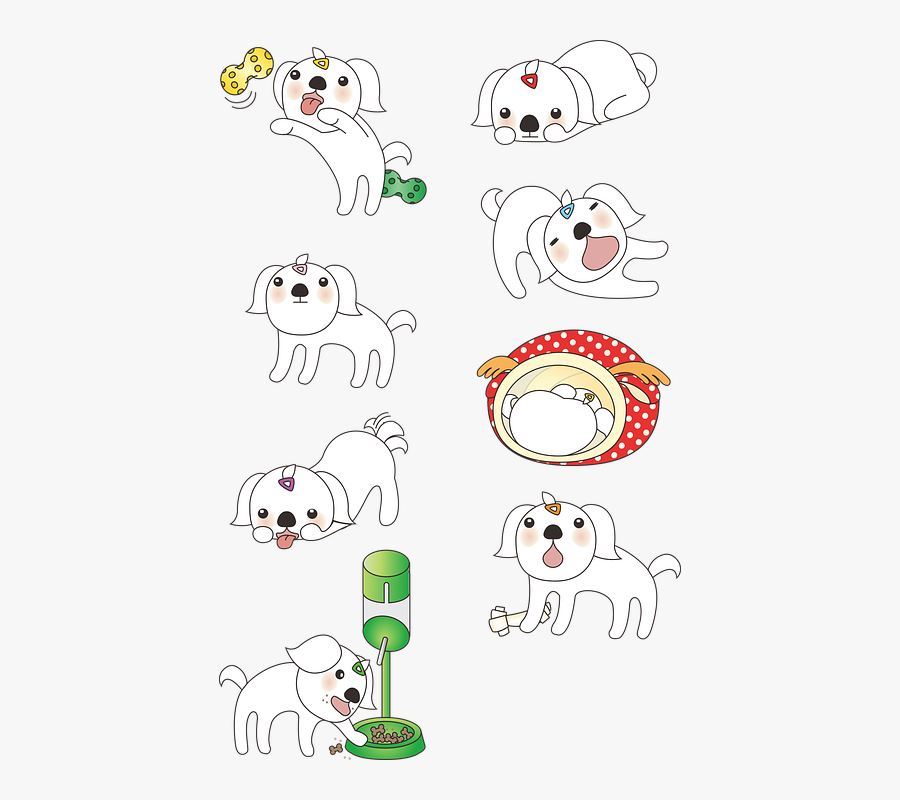 Puppy, Maltese, Animal, Dog, Cute, Played, Pet - Cartoon, Transparent Clipart