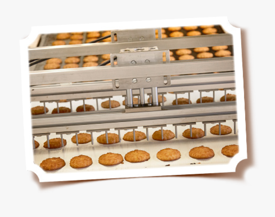 The Blaschke Coconut Macaroons In The Making - Bakery, Transparent Clipart