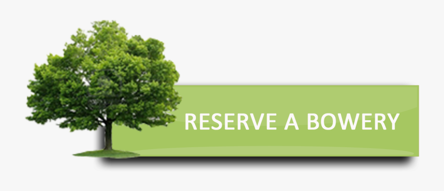 Clip Art Red Mountain Open Space - Hammermill A4 Paper 75 Gsm, Transparent Clipart